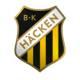 Team logo