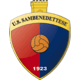 Team logo