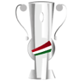 Team logo