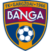 Team logo
