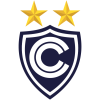 Team logo