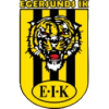 Team logo