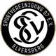 Team logo