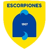 Team logo
