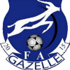 Team logo