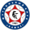 Team logo