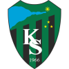 Team logo
