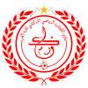 Team logo