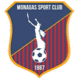 Team logo