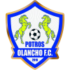 Team logo