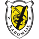 Team logo