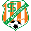 Team logo