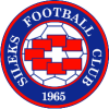 Team logo
