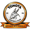 Team logo