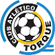Team logo